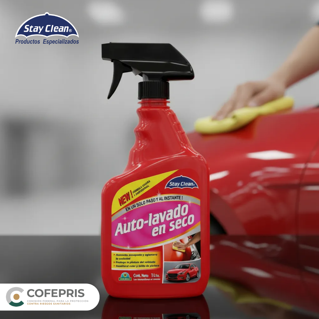 Auto-Lavado en Seco